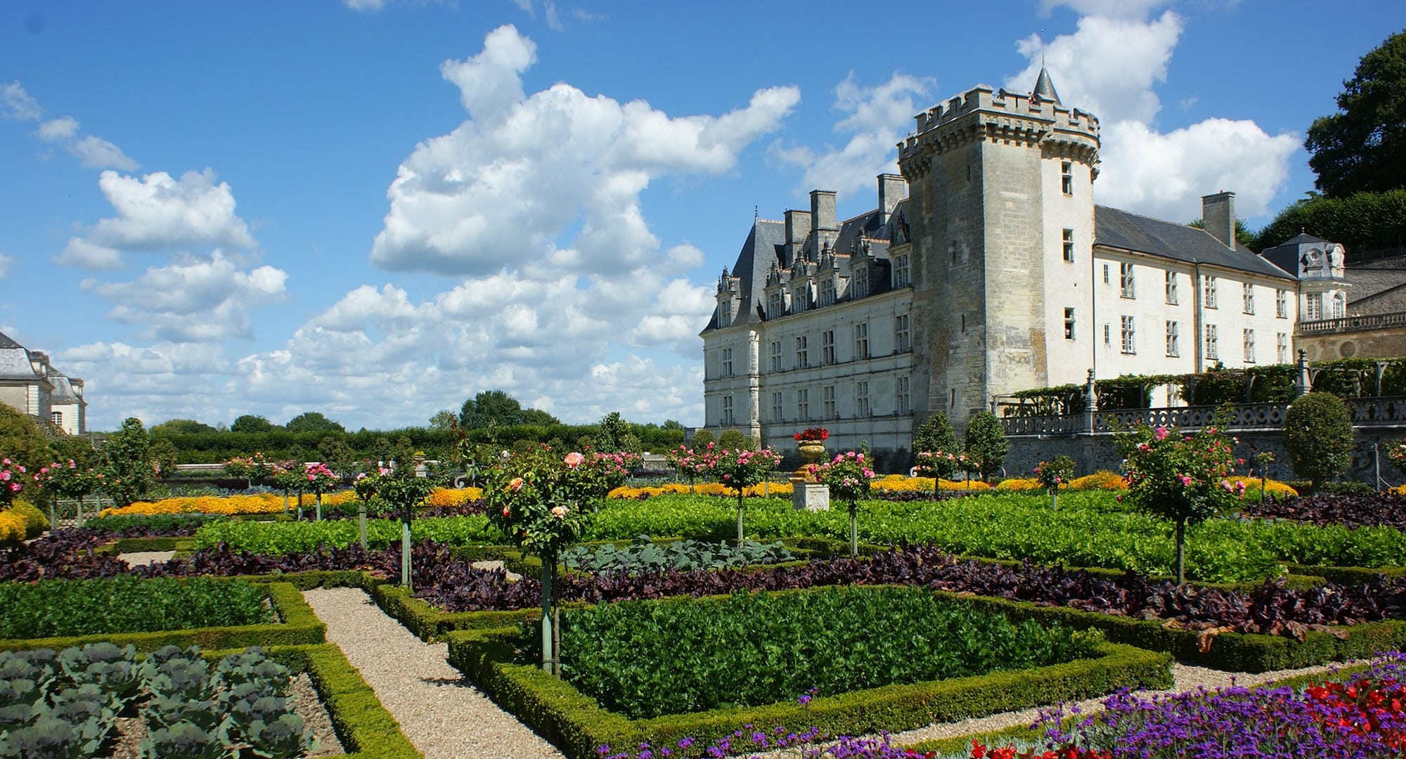 Chateau Chambord - Visit Loire Valley