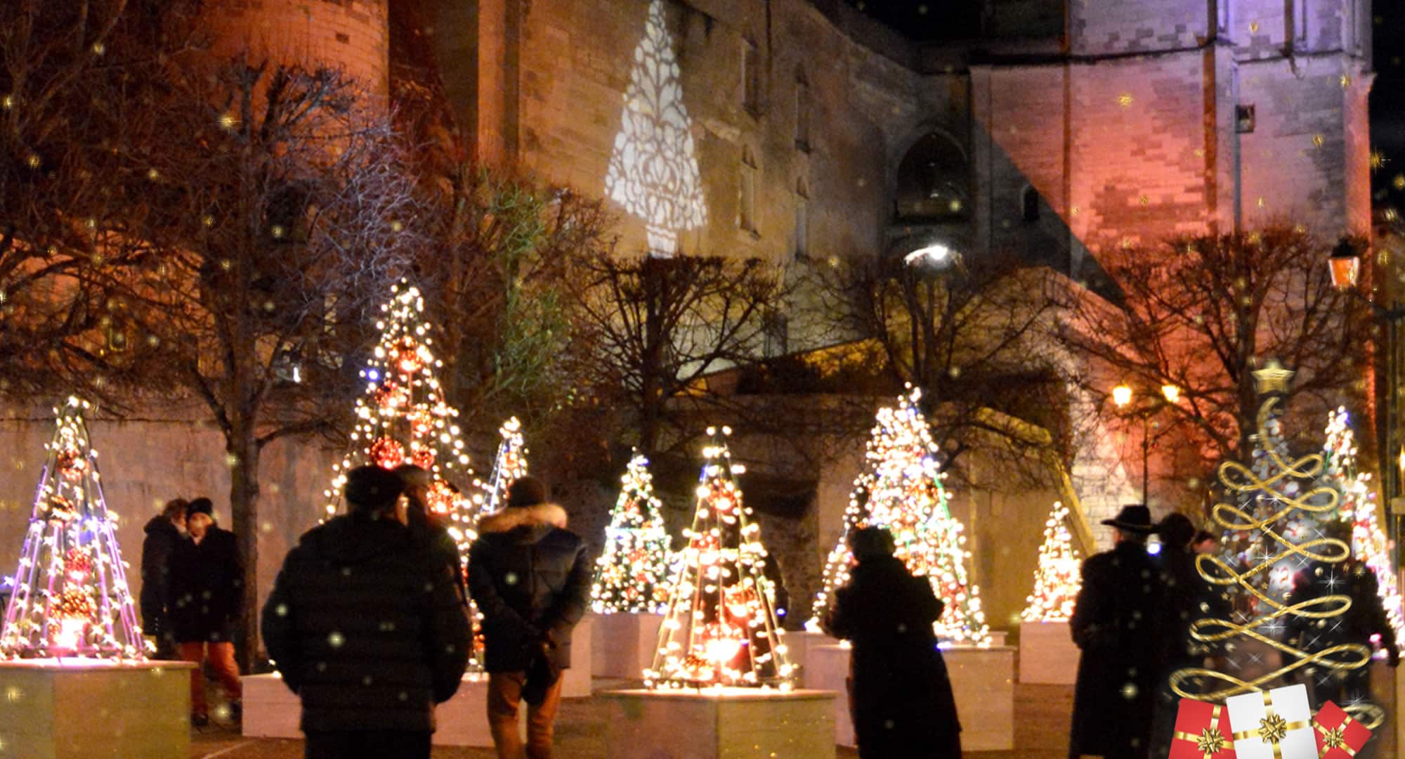 Séjour en famille à la Toussaint en Val de Loire