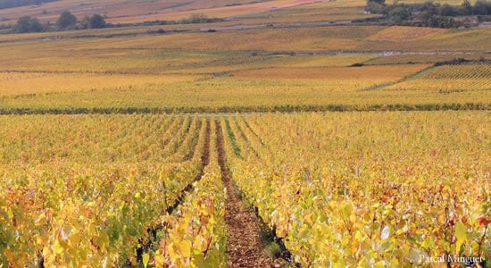 route des vins Bourgogne