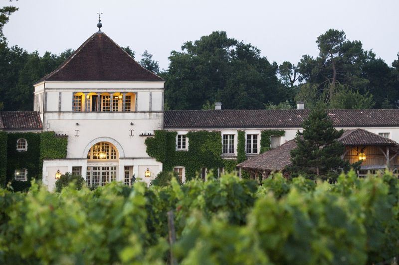 caudalie_vue_vignes